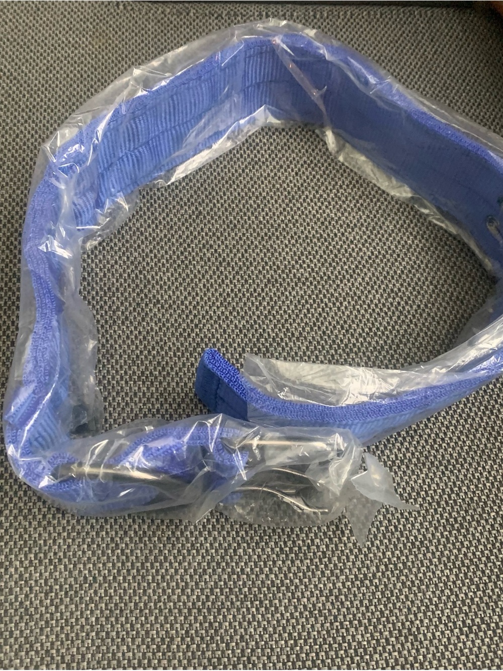 Royal blue dog collar